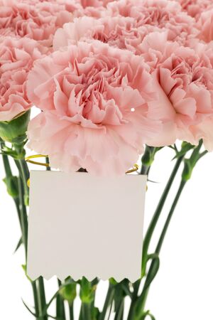 Happy Mother's Day,  pink carnations in full bloom with card.の写真素材