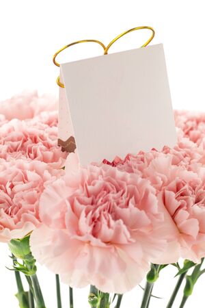 Happy Mother's Day,  pink carnations in full bloom with card.の写真素材