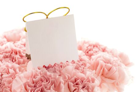 Happy Mother's Day,  pink carnations in full bloom with card.の写真素材