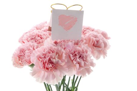 Happy Mother's Day, pink carnations in full bloom with card.の写真素材