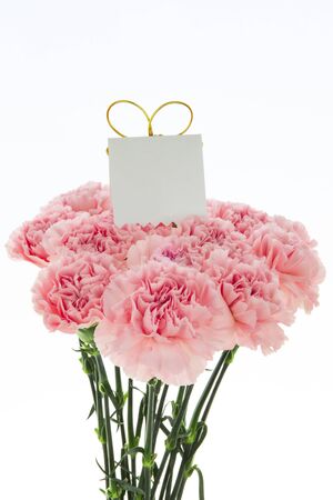 Happy Mother's Day, pink carnations in full bloom with card.の写真素材