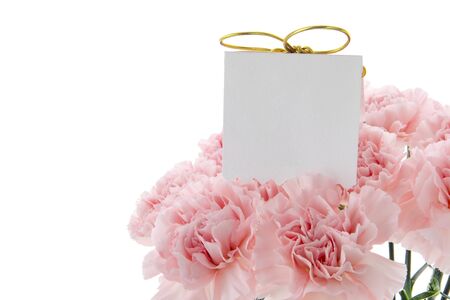 Happy Mother's Day, pink carnations in full bloom with card.の写真素材