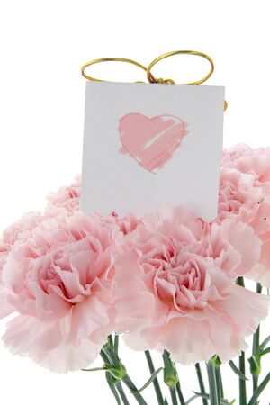 Happy Mother's Day, pink carnations in full bloom with card.の写真素材
