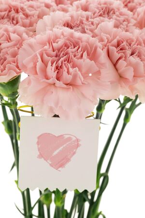 Happy Mother's Day, pink carnations in full bloom with card.の写真素材