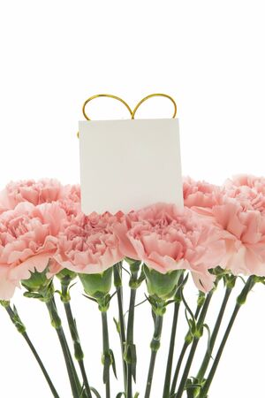 Happy Mother's Day, pink carnations in full bloom.の写真素材