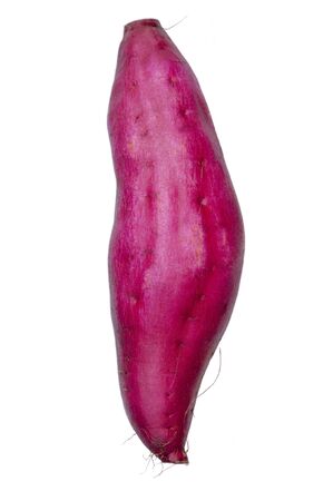 Japanese sweet potato, one of the staple foods of mankindの写真素材