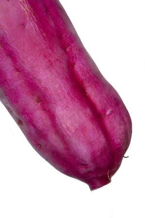 Japanese sweet potato, one of the staple foods of mankindの写真素材