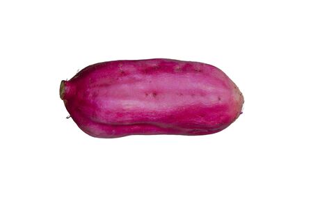 Japanese sweet potato, one of the staple foods of mankindの写真素材