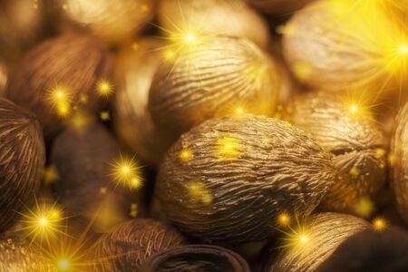Christmas greeting card, dried seeds made into golden Christmas ornamentsの写真素材