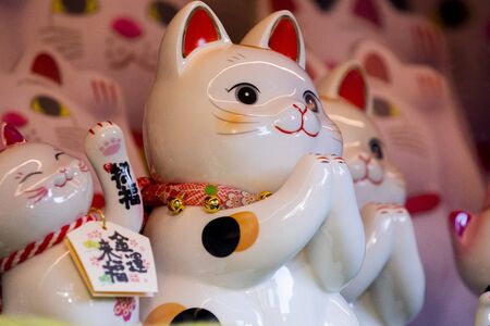 "A group of ceramic Japanese lucky cats in the display cabinet (Japanese: Lucky Cat Chinese: Peace, lucky blessing, good luck, good fortune, ten thousand)"の写真素材