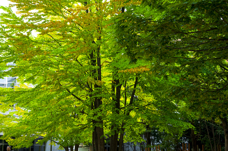 Tokyo, Japan, Ueno Animal Parkのeditorial素材