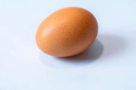 Single egg on white background