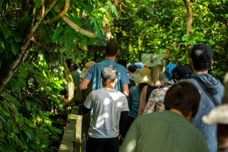 Tourists in the Animal Conservation Park, a tourist destination in Southeast Asia, Sandakan, Sabah, Borneo, Malaysiaの写真素材