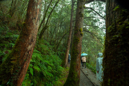 Taipingshan Jianqing Old Road, Yilan County, Taiwan, is a famous tourist attractionの写真素材