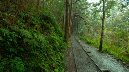 Taipingshan Jianqing Old Road, Yilan County, Taiwan, is a famous tourist attraction