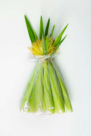 A whole bunch of baby corn on white background