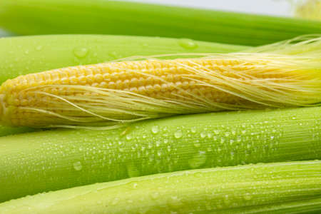 Unplugged baby corn and baby corn on white background