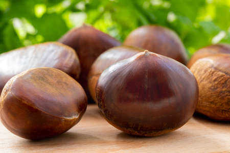 Autumn delicacies, chestnuts in front of white backgroundの写真素材