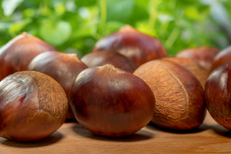 Autumn delicacies, chestnuts in front of white backgroundの写真素材