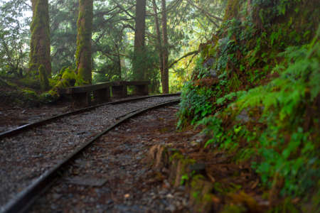 Taipingshan Jianqing Old Road, Yilan County, Taiwan, is a famous tourist attractionの写真素材