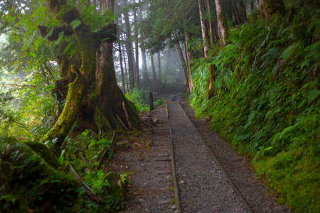 Taipingshan Jianqing Old Road, Yilan County, Taiwan, is a famous tourist attractionの写真素材