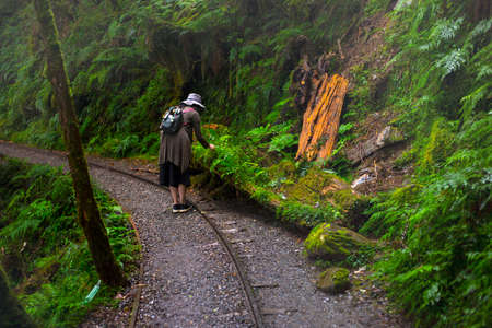 Tourists on the Jianqing Trail, Taiping Mountain, Yilan County, Taiwanの写真素材
