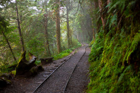 Taipingshan Jianqing Old Road, Yilan County, Taiwan, is a famous tourist attraction