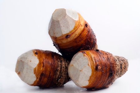 Taro, one of the important staple foods of Asian humansの写真素材