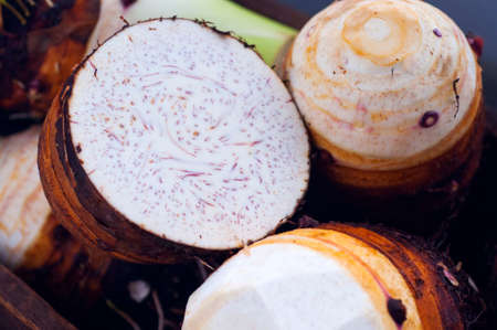 Taro, one of the important staple foods of Asian humansの写真素材