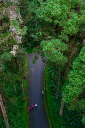 Taiwan Xitou Forest Reserve, Forest Trail