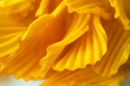 Closeup golden sweet potato chips on white backgroundの写真素材