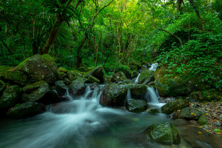 In the emerald valley flows a cool and clear streamの写真素材