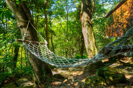 Hammock under the tree outside the forest cabinの写真素材
