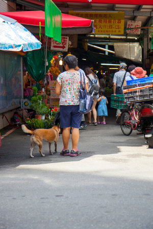 Taiwanese traditional food market in normal daysの写真素材