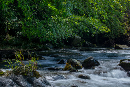 Arch bridge made of stones over a verdant creek in the valleyの写真素材