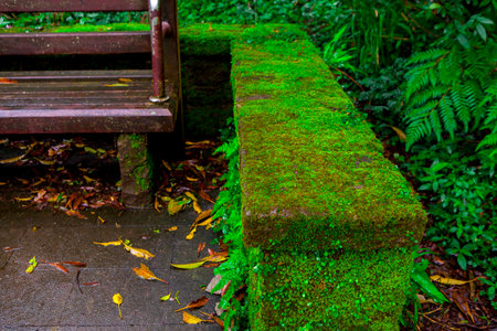 Public chairs in the rest area next to the Yangmingshan Forest Trail in Taipeiの写真素材