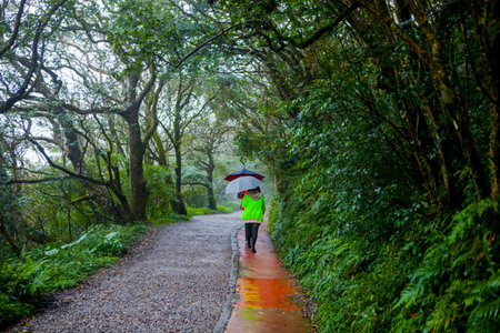Yangmingshan in the suburbs of Taipei is a good place for people to go hikingの写真素材