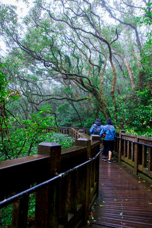 Yangmingshan in the suburbs of Taipei is a good place for people to go hikingの写真素材