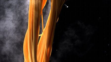 Pick up the hot noodles with elasticity and bring out the water dropletsの写真素材