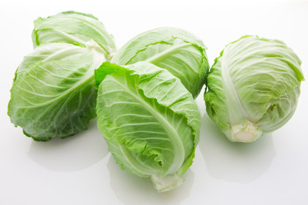 on white backgroundの写真素材