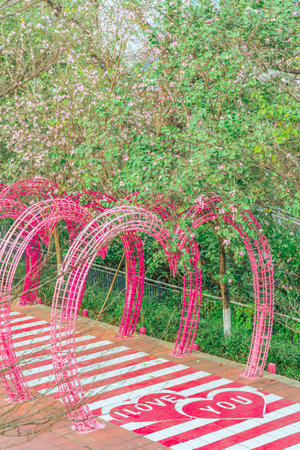 pink bamboo arch in the park, Thailand. (Selective focus)の写真素材