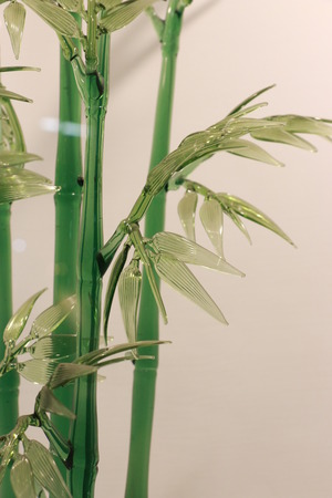 Glass Bamboo closeup photoの写真素材