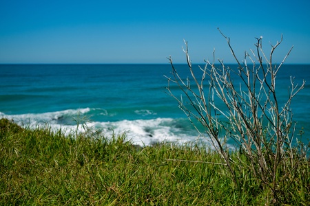 Views along Great Ocean Roadの写真素材
