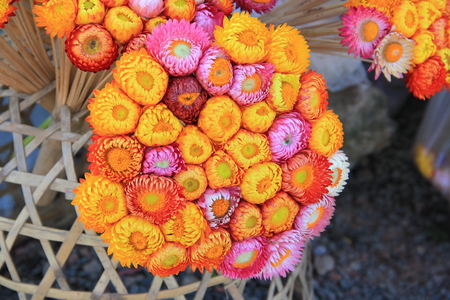 Bouquet of dry straw flower.の写真素材