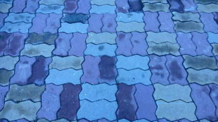 Art of blue brick worm. (Wet rain)の写真素材