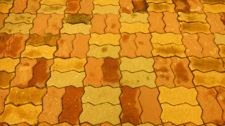 Art of yellow brick worm. (Wet rain)の写真素材