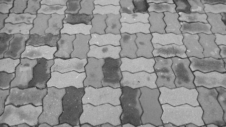 Art of gray brick worm. (Wet rain)の写真素材