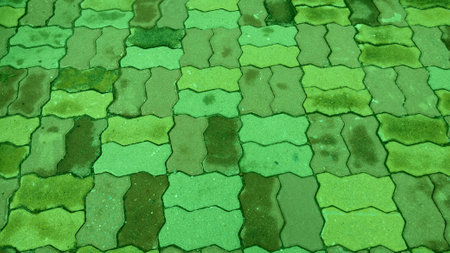 Art of green brick worm. (Wet rain)の写真素材