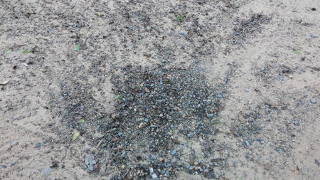 The ground contaminated with waste rockの写真素材