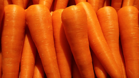 Organic carrot (Food background) with lightの写真素材